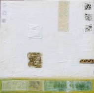 2007_fields_50x50